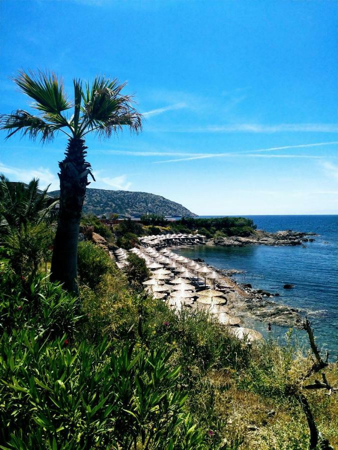 阿纳维索斯 New Seafront Studio旅馆 外观 照片